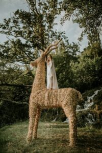 LegendFest, NP Krka1